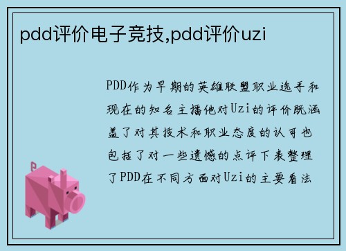 pdd评价电子竞技,pdd评价uzi